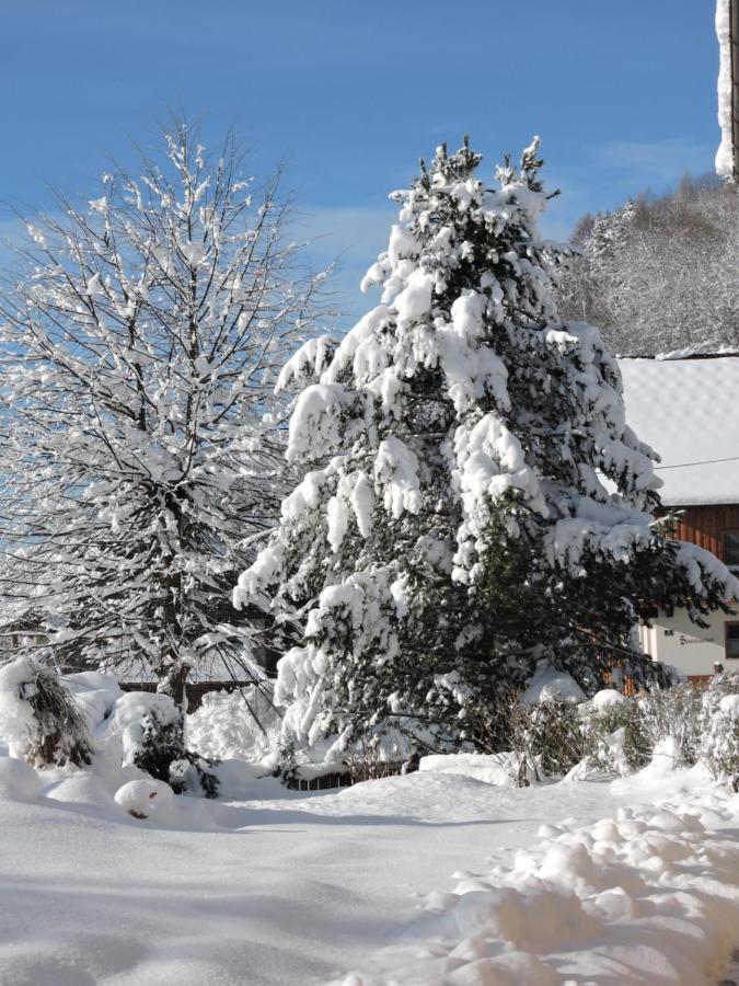 Haus Kremser Bad Kleinkirchheim Eksteriør billede